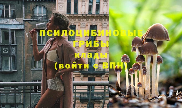 эйфоретик Шадринск