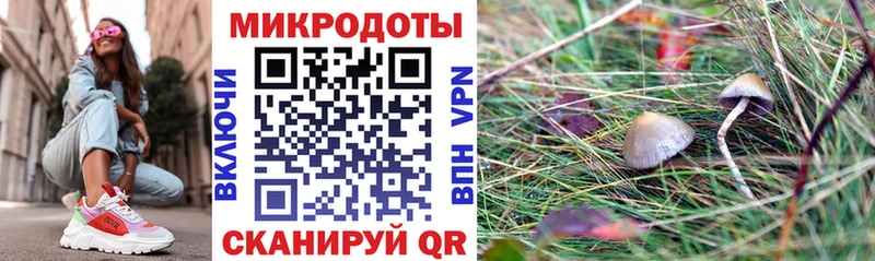 Псилоцибиновые грибы прущие грибы  Купить закладки  Спас-Деменск 